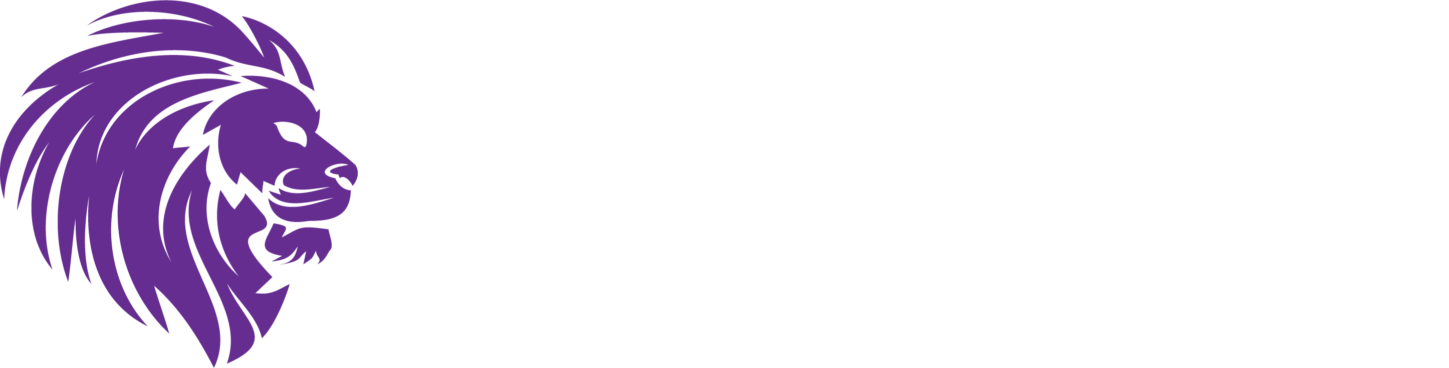 Estetica Beauty Certificate Training